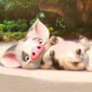 Meet your Posher, Trifine